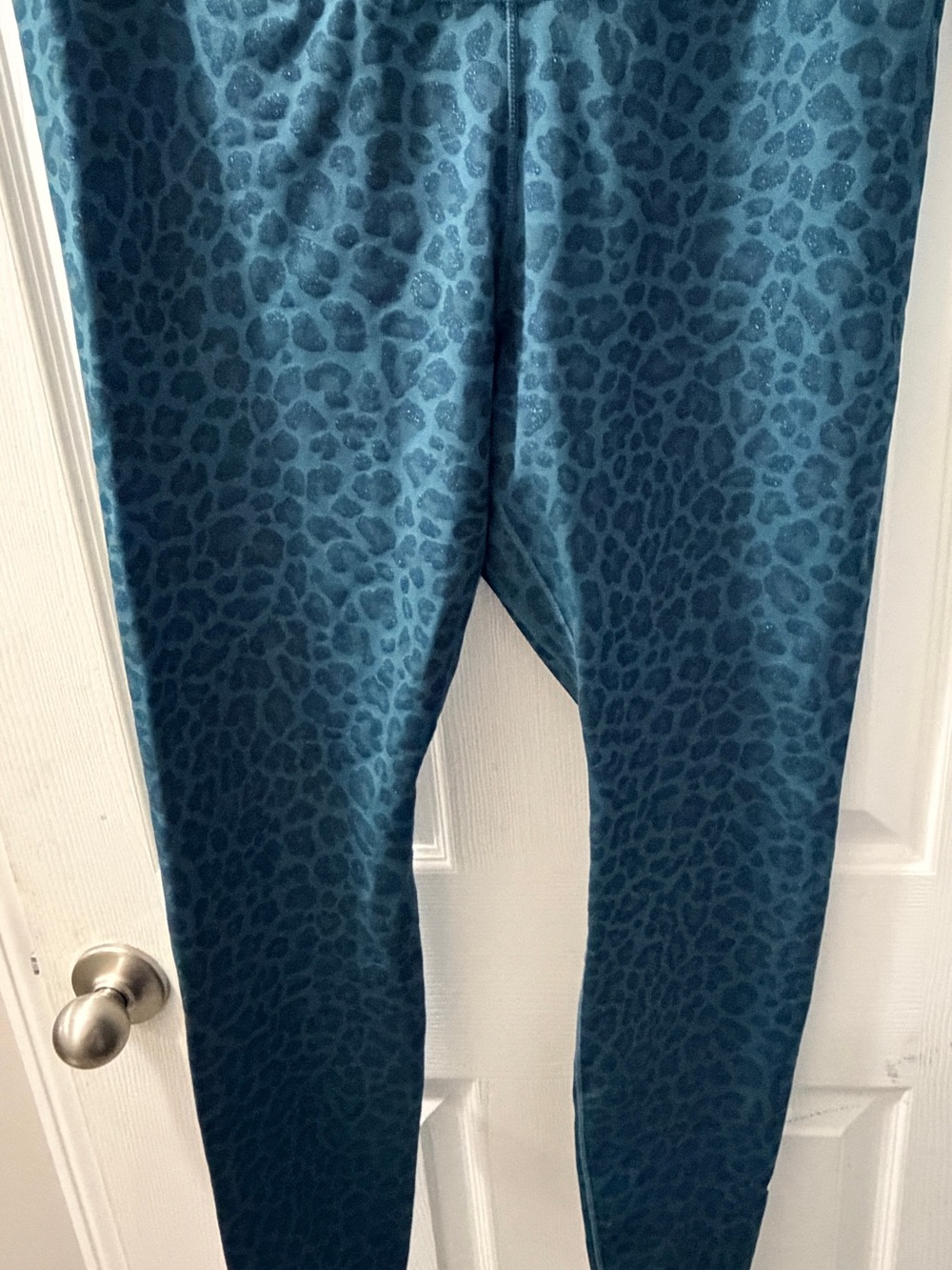 Women’s Teal Nike Leopard Print Leggings